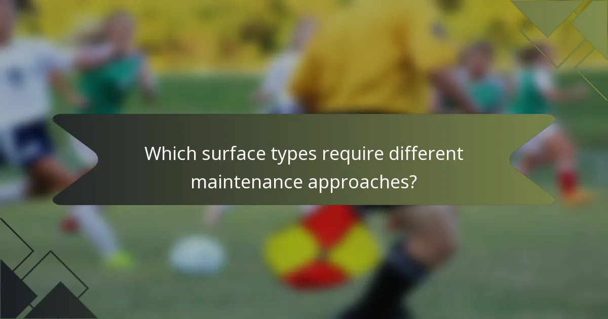 Which surface types require different maintenance approaches?